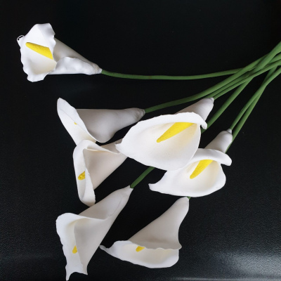 White callas lily